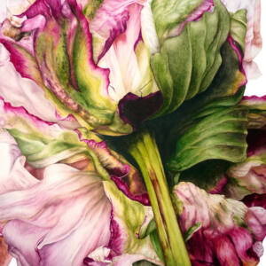 Marie Burke Art, Botanical Illustration, Watercolor Painting, Peony Print, Watercolor Tutorials, Watercolour Paintings Course, Peony Watercolor
