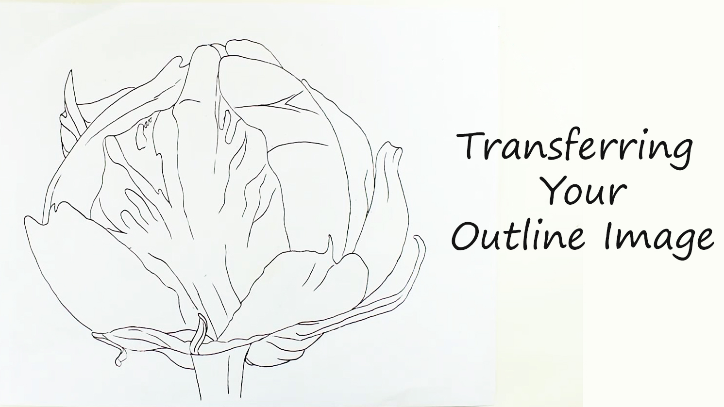 Trans Outline Bundle Lab (Time 0_00_04;11)1