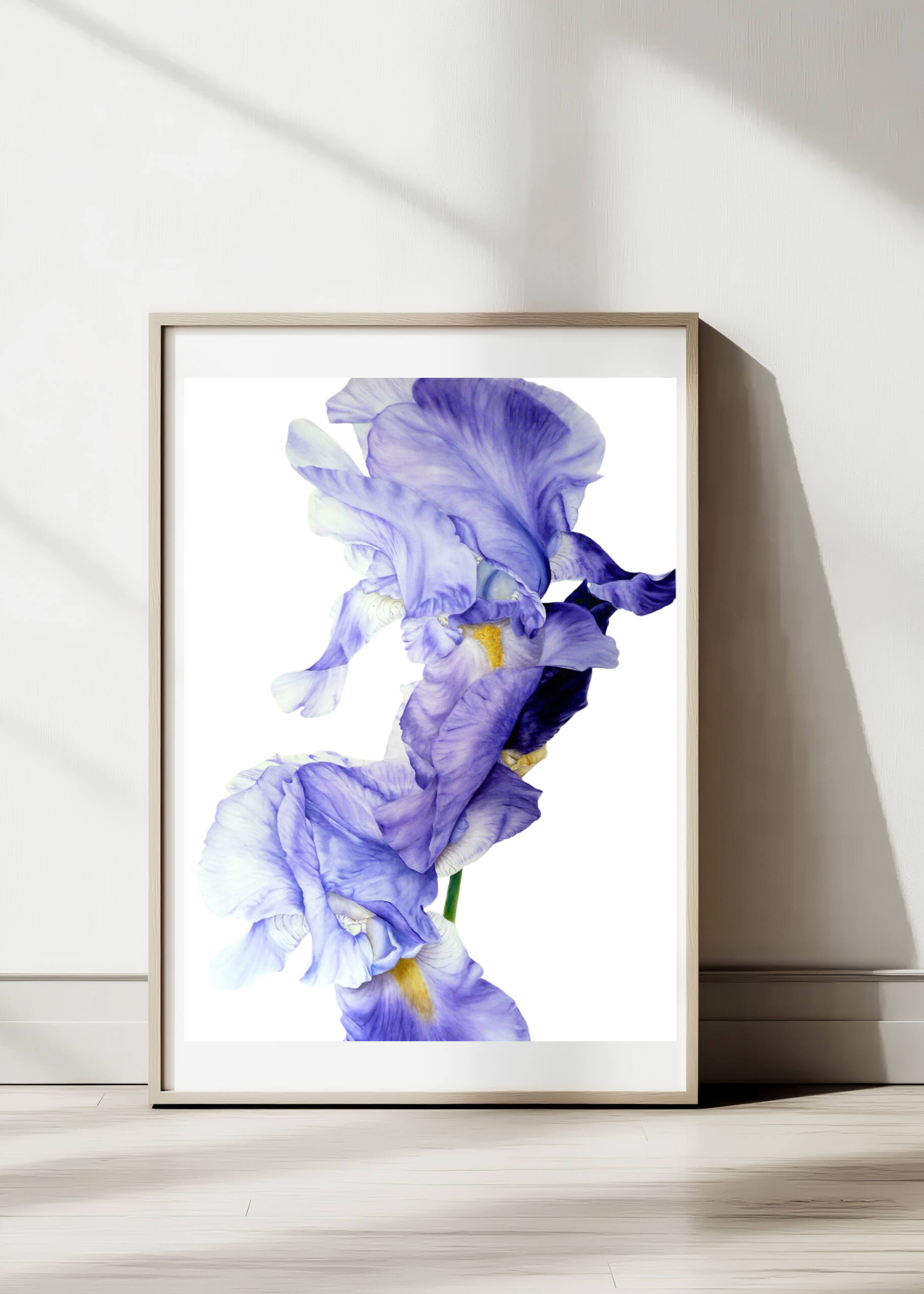 Blue Iris Art Print - Image 3