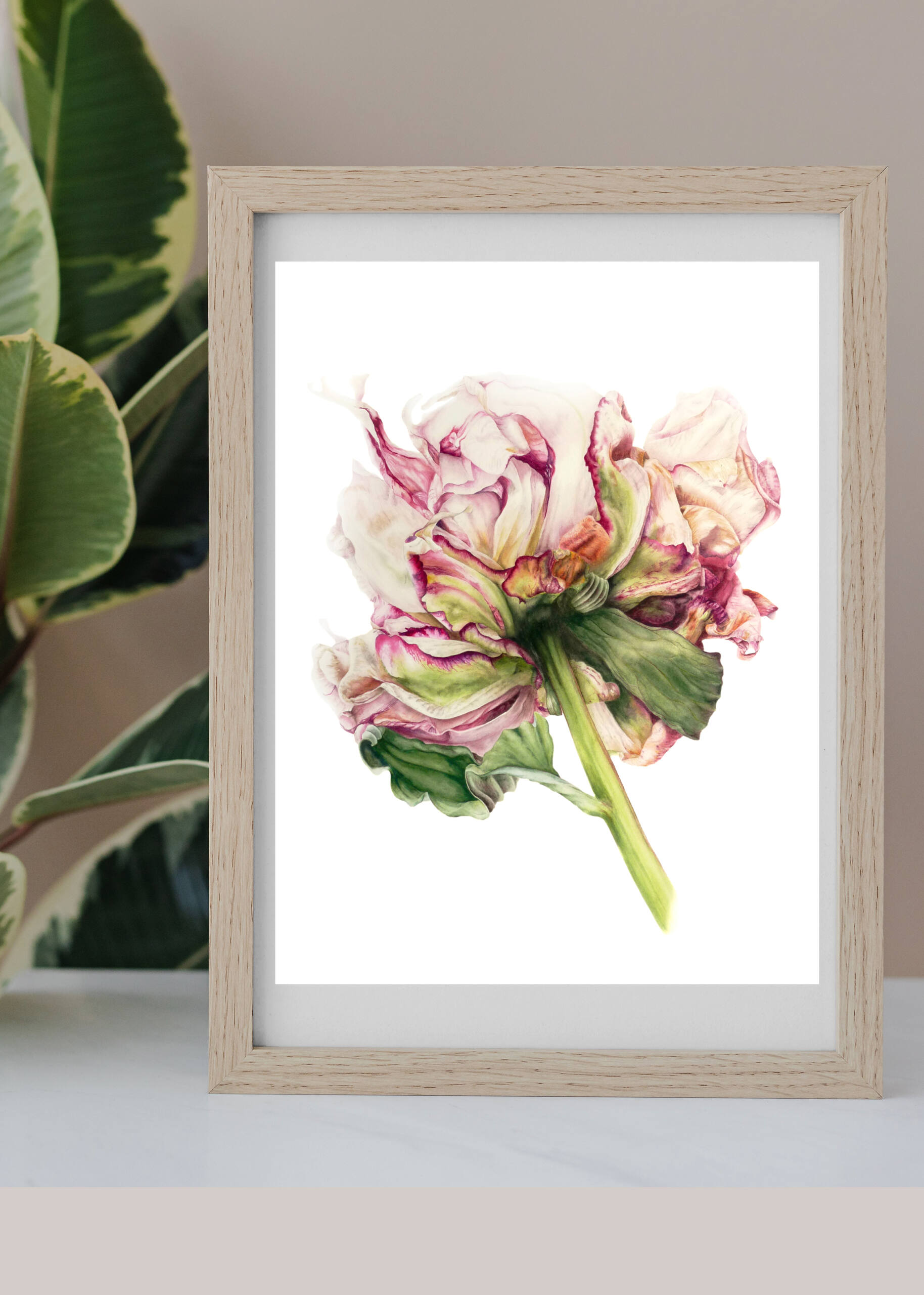 Peony Art Print - Image 3