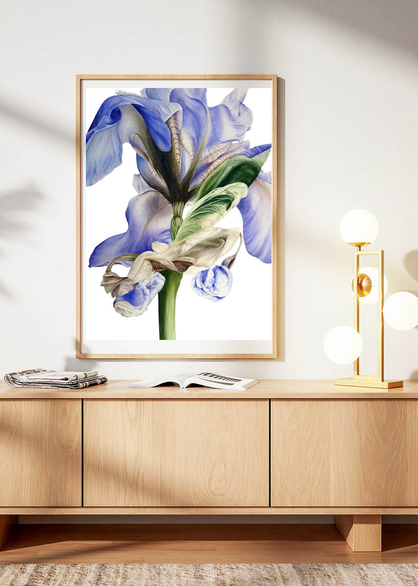 Iris Art Print - Image 2